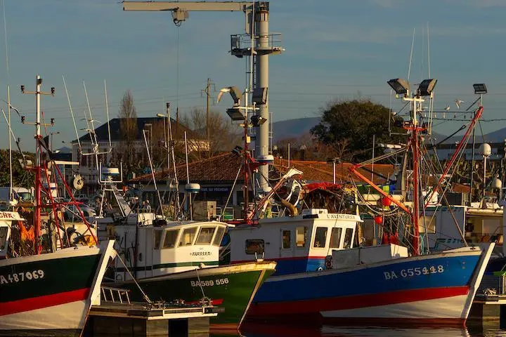 Small-scale fishing vessels on France's Atlantic coast