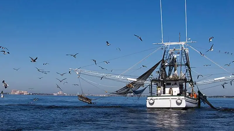 EU Bottom Trawling