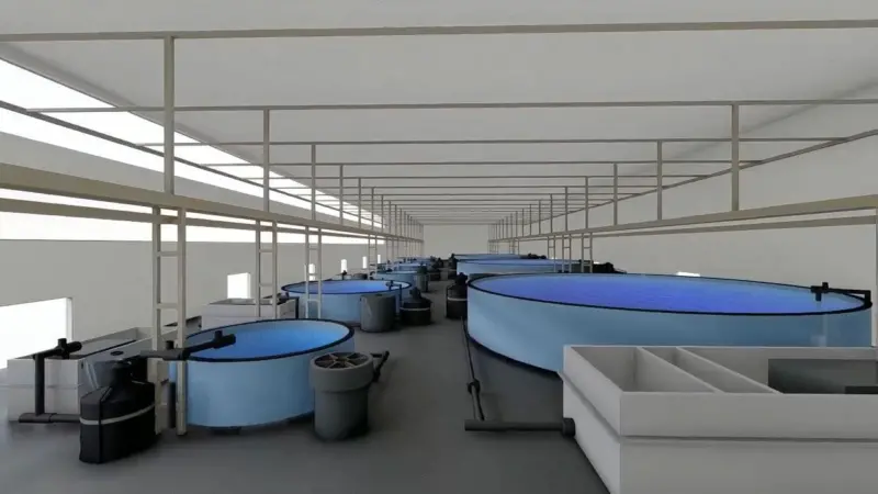three-sixty-aquaculture-ras-facility-1