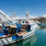 Fishing trawler moored in harbour, Agropoli, Campania, Italy