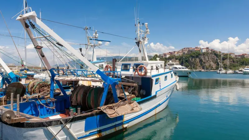 Fishing trawler moored in harbour, Agropoli, Campania, Italy