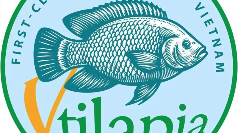 Vasep Tilapia Council