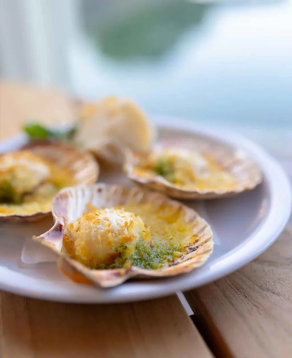 Disco Scallops