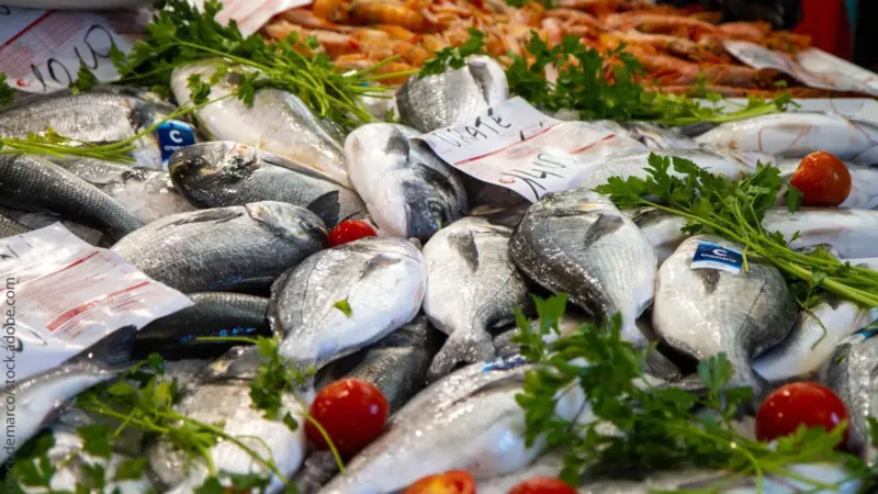 EU Fish Market Report 2025