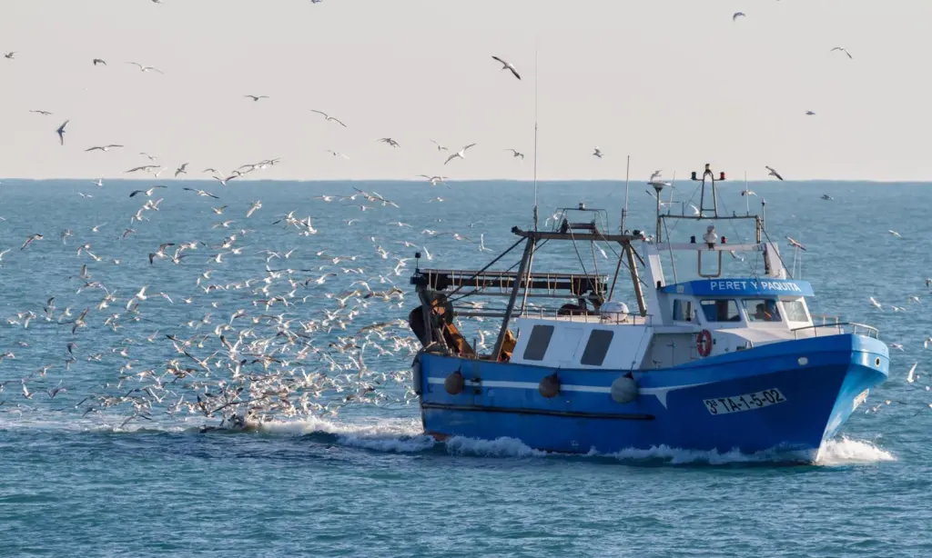 Mediterranean fishing