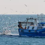 Mediterranean fishing