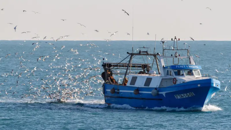 Mediterranean fishing