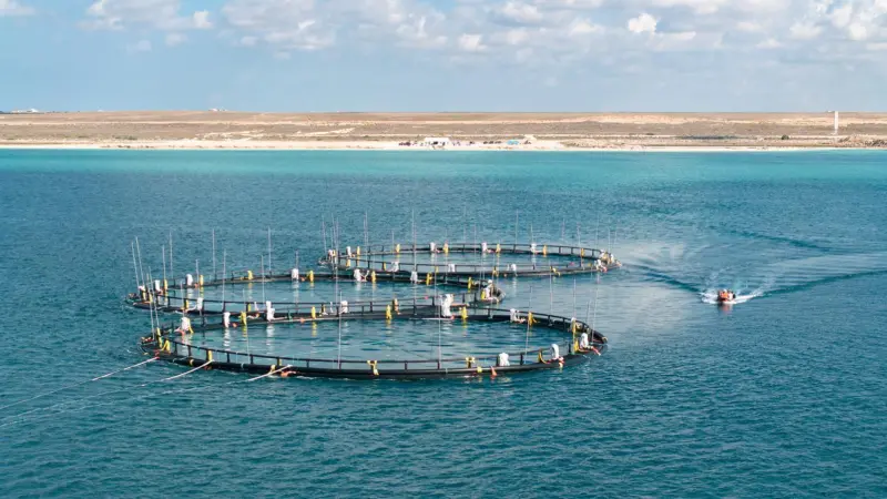 Three fish pens on the Caspian Sea