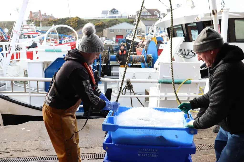 UK fishing