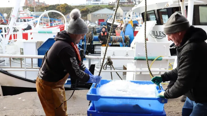 UK fishing