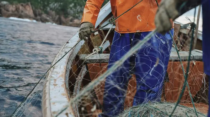 TCRS fish welfare grant
