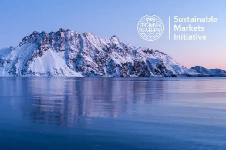 A picture of the Sustainable Markets Initiative