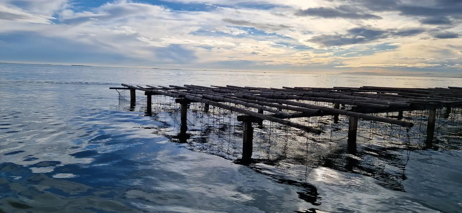 GFCM restorative aquaculture