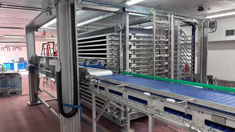 Automated redfish processing line at McGraw Seafood's New Brunswick facility
