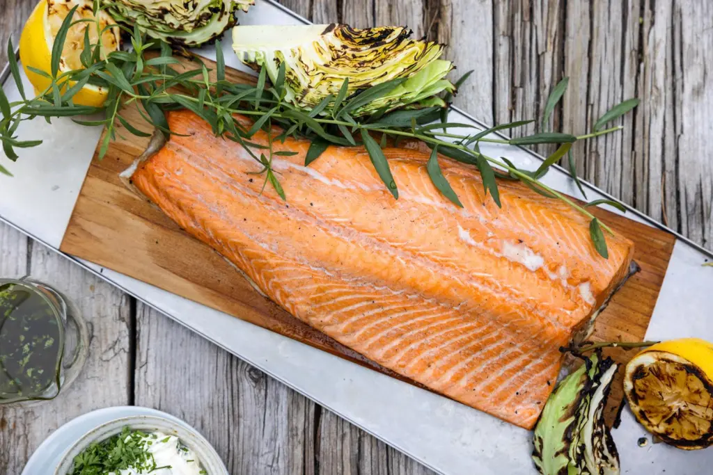 Salmon