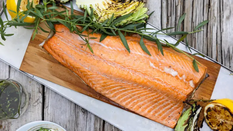 Salmon