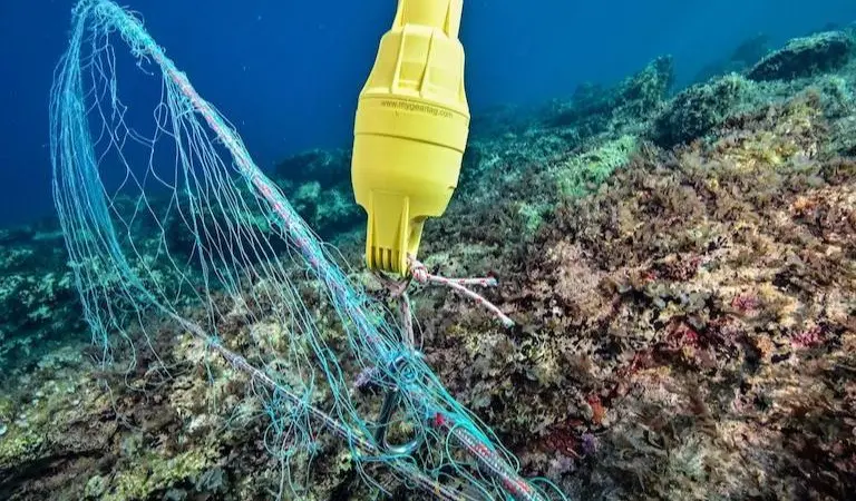 NETTAG