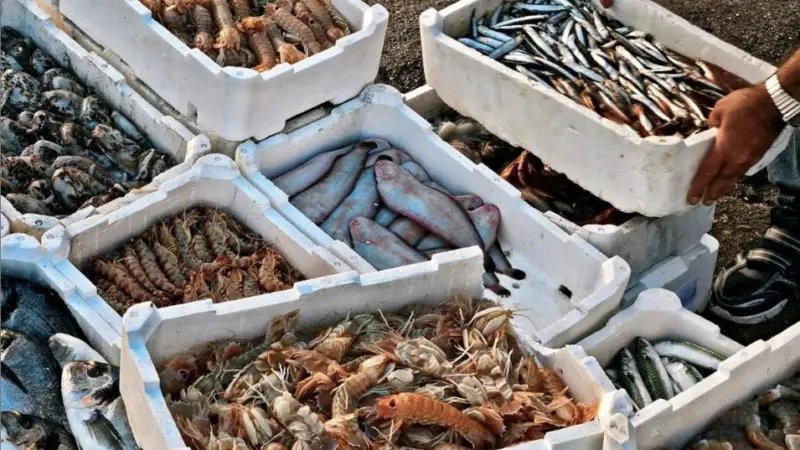 Vietnamese seafood