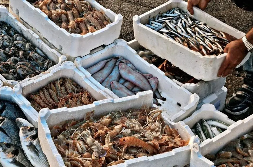 Vietnamese seafood
