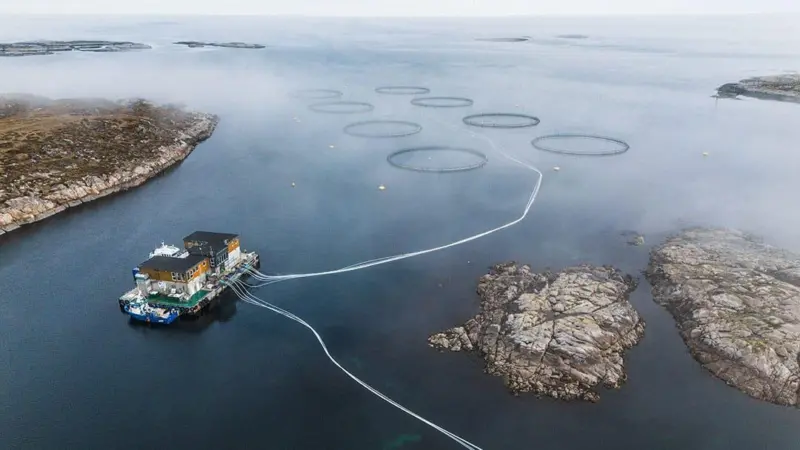 A picture of SalMar's Norwegian farming operations, a vessel circling fish cages in the water