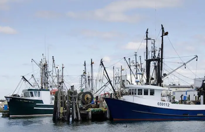 US fisheries