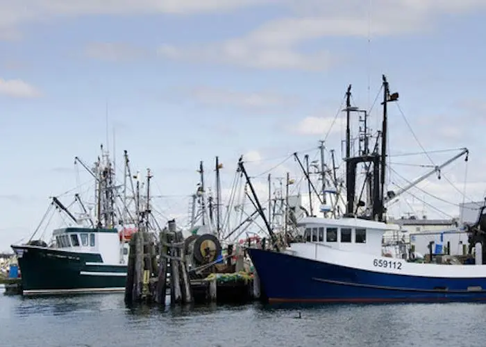 US fisheries