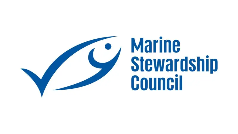 MSC
