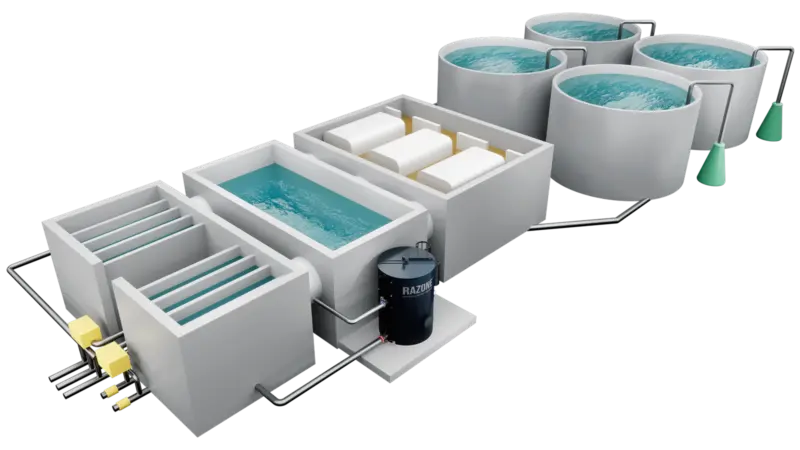 Recirculating aquaculture system