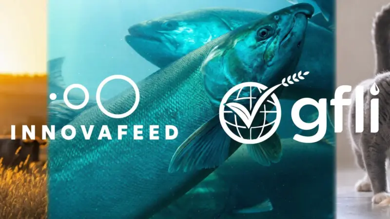 Innovafeed:GFLI