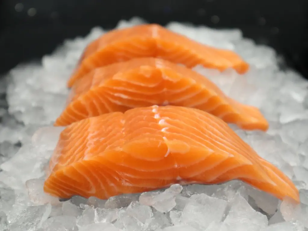 Scottish salmon