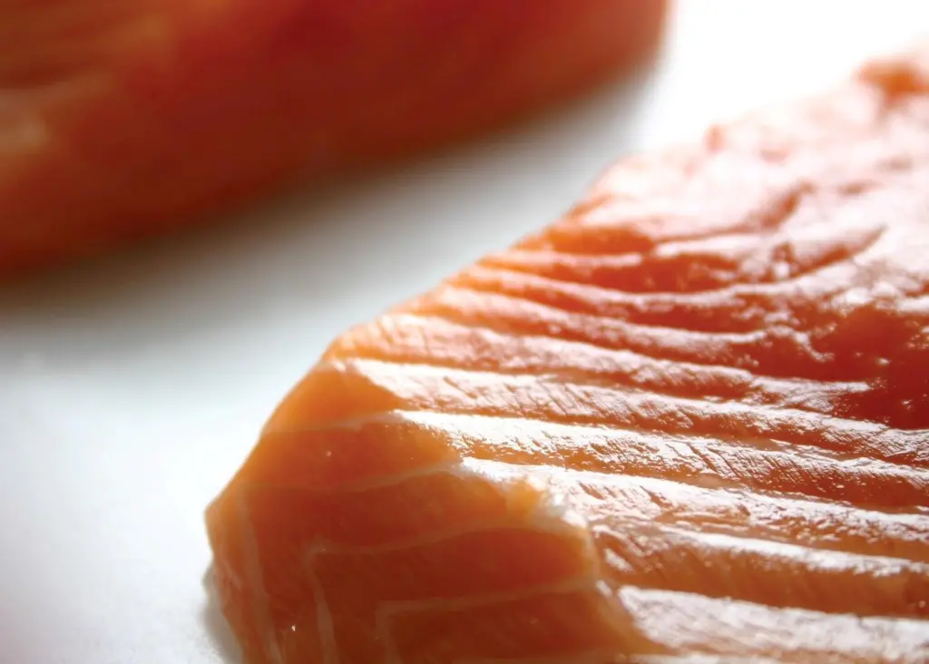 Piece of cooked fresh salmon