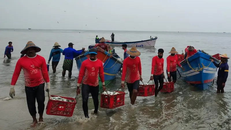 Fishers bringing in catch in the Bay of Bengal
