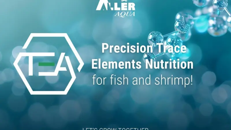 Aller Aqua TEA Concept logo