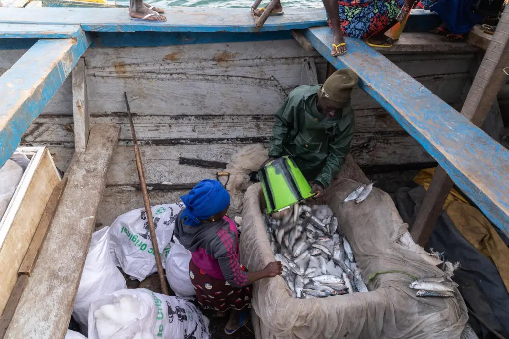 Artisanal fishers take their catch to Bissau, where it will be sold at Bandim port
