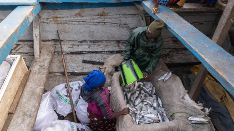 Artisanal fishers take their catch to Bissau, where it will be sold at Bandim port