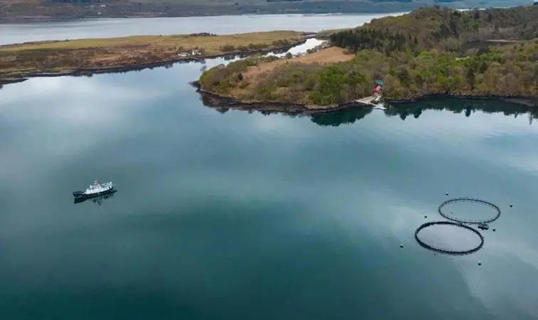 An overhead shot of salmon farming operation