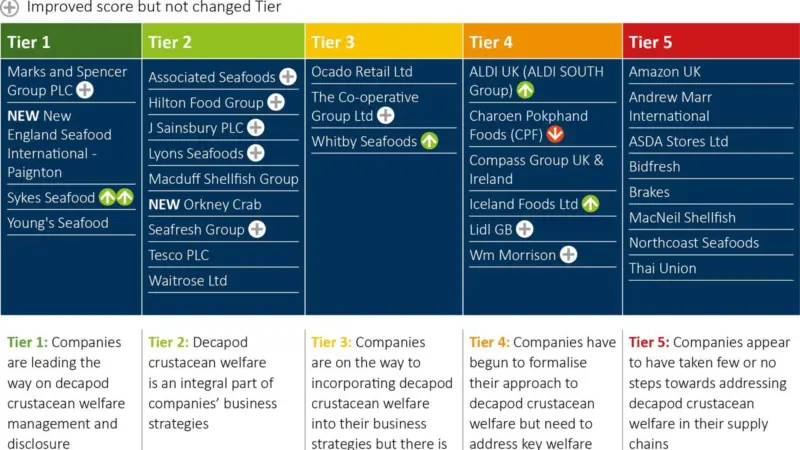 The Snapshot Tier Graph