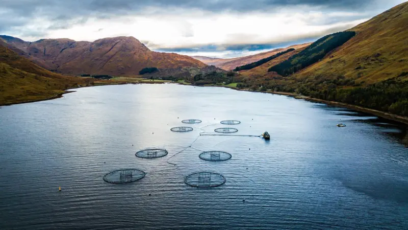 Finfish Farm in Scottish Highlands. image shows 8 pens in a loch with mountains surrounding