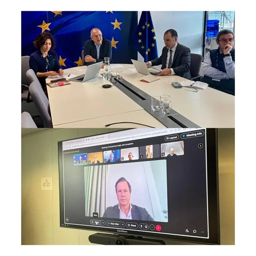 Members of the EC and Europeche at a meeting