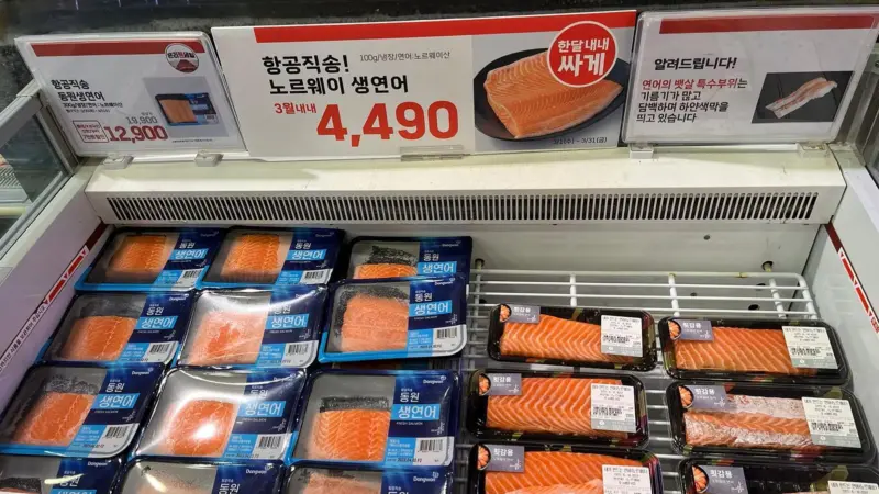 Packs of seafood in a freezer