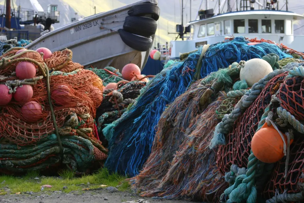 Fishing vessel surrounded by nets