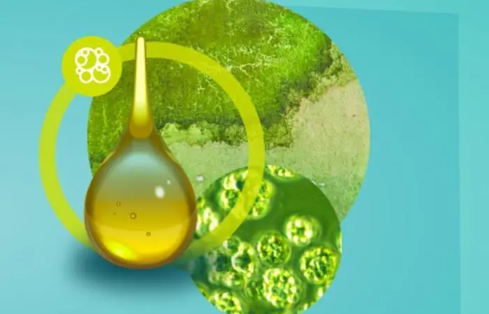 Veramaris algal oil