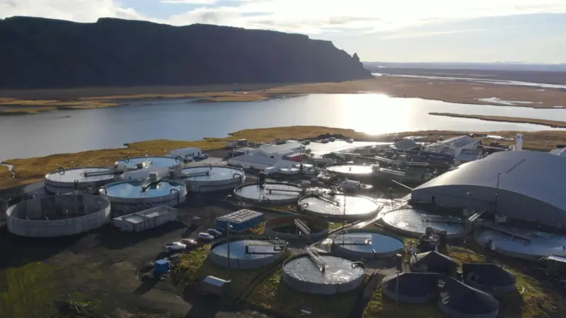 Samherji Fiskeldi land based facility on Iceland - Silfurstjarnan