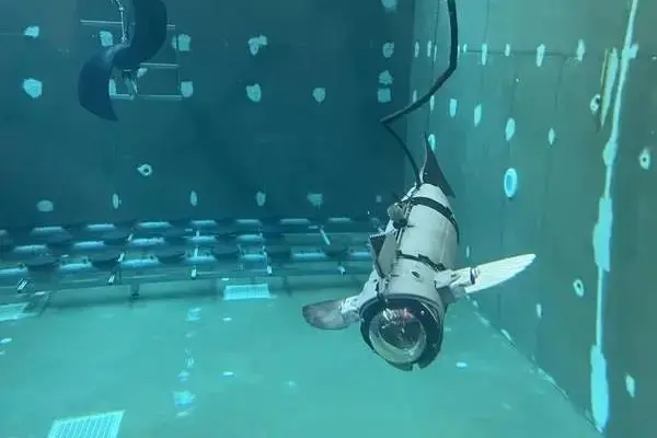 UJIFISH robotic fish being tested in a tank