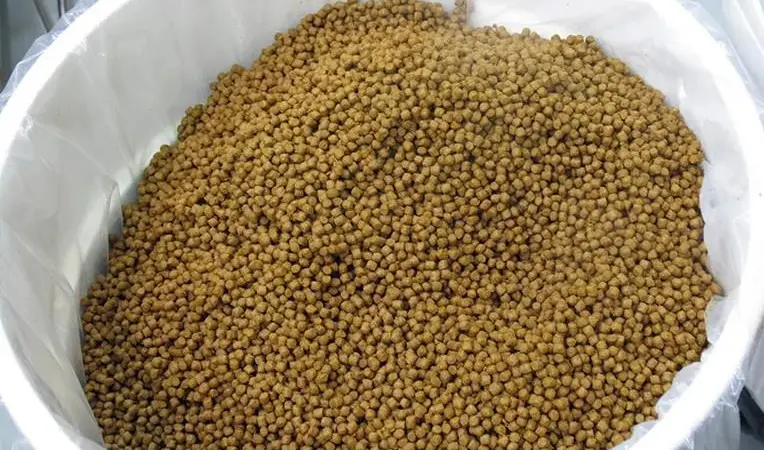 A close up of fish feed