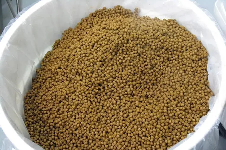 A close up of fish feed