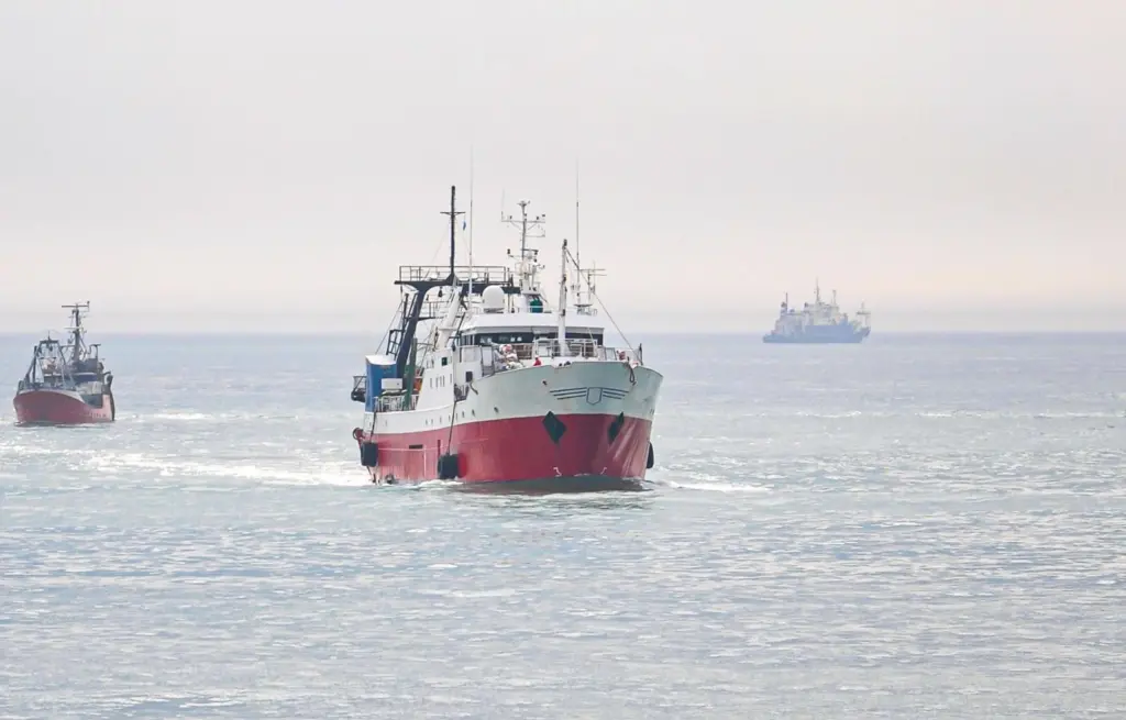 Fishing boats at sea