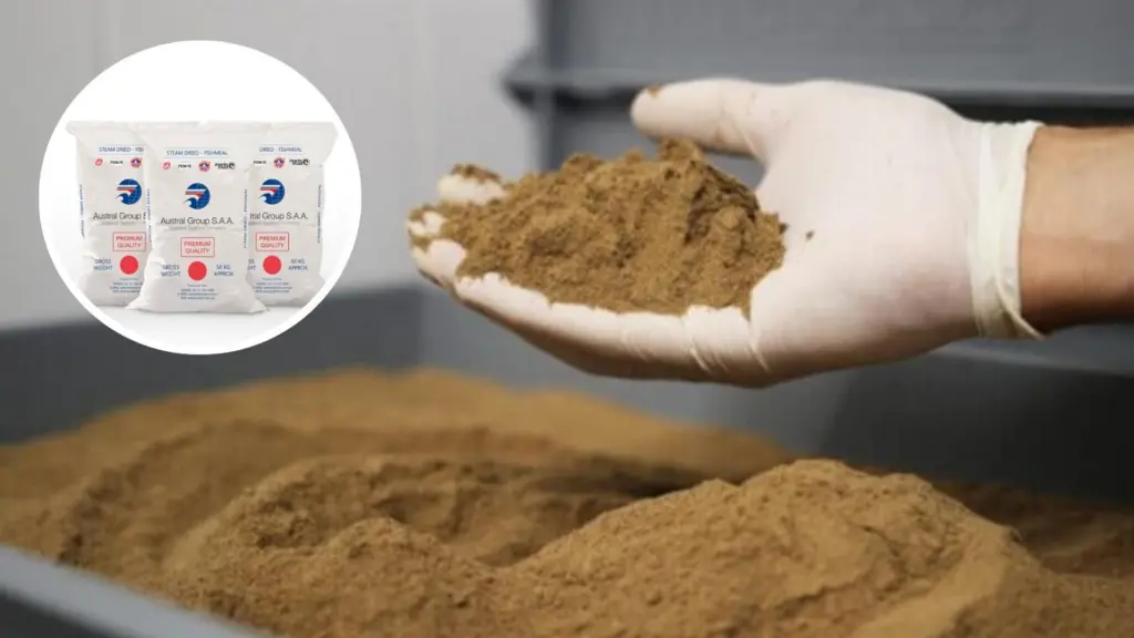 Austral Group fish meal in bag and a hand holding fish meal