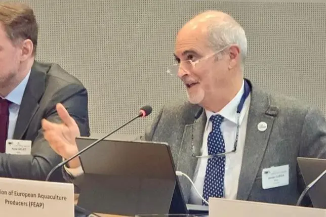 Javier Ojeda, secretary general, FEAP