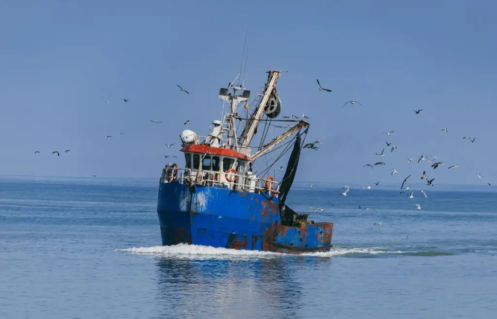 A blue fishing boat at sea with gulls flying around